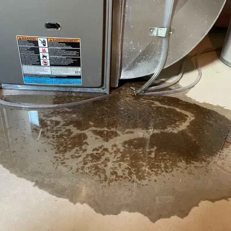 Appliance Leak Cleanup in Imperial, MO